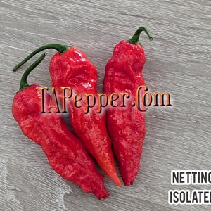 May include: Four red chili peppers with green stems on a gray wooden surface. The peppers are long and thin with a wrinkled texture. The text "TAPepper.com" is visible in the image. The words "NETTING" and "ISOLATED" are also visible in the image.