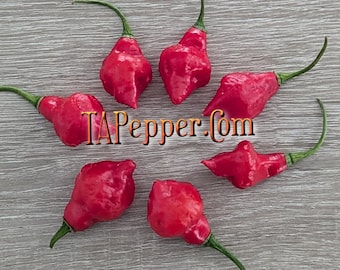 15+ Piazinho Pepper Seeds- Padded envelope shipping, tracking number included. Piaozinho