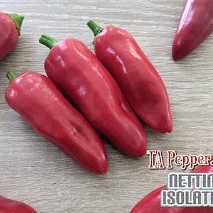 May include: Five red peppers on a wooden surface. The peppers are all pointed and have a smooth, shiny skin.