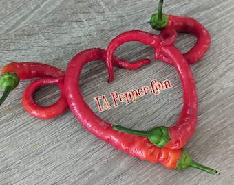 15+ Corbaci Pepper Seeds -TAPepperCom-Padded envelope shipping, tracking number included.