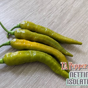 May include: Four green chili peppers on a light brown wooden surface. The peppers are arranged in a pile, with the tips of the peppers pointing in different directions. The peppers are all about the same size and shape. The peppers are a bright green color and have a smooth, shiny surface.