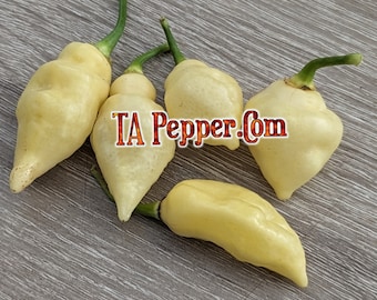 15+ White UFO Pepper Seeds -Padded envelope shipping, tracking number included.