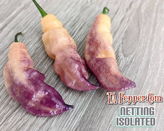15+ Pink Tiger Pepper Seeds -isolated -Padded envelope shipping, tracking number included.
