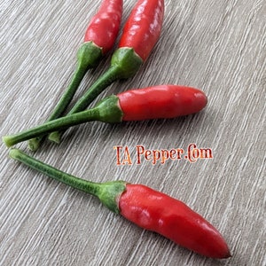 May include: Four red chili peppers with green stems on a light brown wooden surface. The text "TA Pepper.com" is visible in the lower right corner of the image.