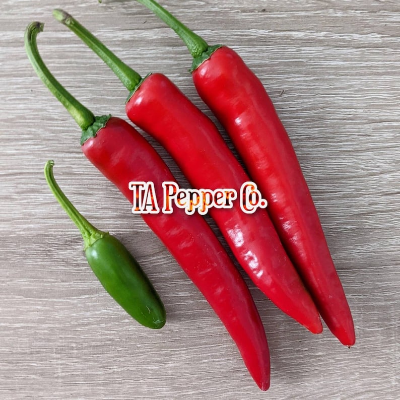 25 Sport Pepper Seeds tapepperco padded Envelope Shipping Etsy