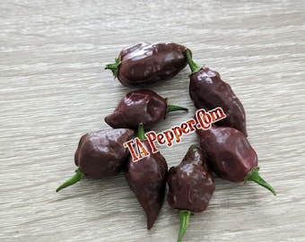 15+ Chocolate Biquinho Pepper Seeds, Chupetinho-Padded envelope shipping, tracking number included.