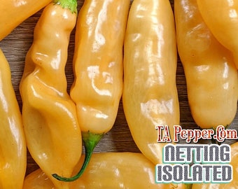 20+ Sugar Rush Peach Pepper Seeds -isolated- Padded envelope shipping, tracking number included..