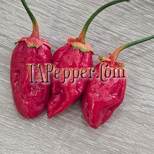 May include: Three red chili peppers with green stems. The peppers are shiny and have a wrinkled texture. The peppers are arranged in a row on a light brown wooden surface. The text "TAPepper.com" is visible in the image.