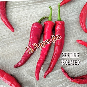 May include: A close-up of seven red chili peppers on a wooden surface. The peppers are all different sizes and shapes, and some are slightly curved. The text "TA Pepper.com" is visible in the image.