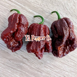May include: Three dark red chili peppers with a wrinkled texture. The peppers are arranged in a row on a light brown wooden surface. The text "TA Pepper Co." is visible in the center of the image.