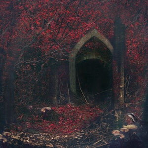 Red Forest Fantasy Art Print