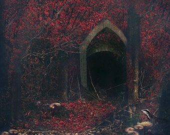 Rode bos Fantasy Art Print