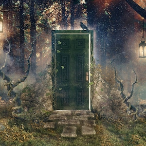 Magical Door In Forest Art Print