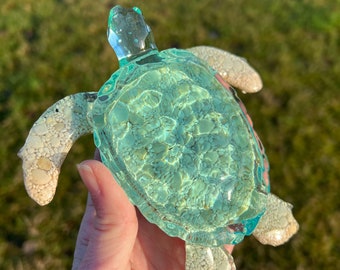 Oceaanschildpad -X- large