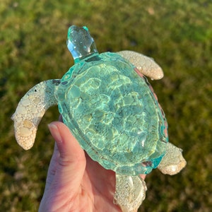 Ocean Turtle -X- large