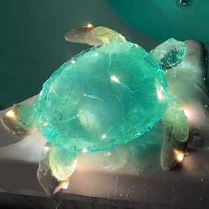 GIANT Turtle nightlight