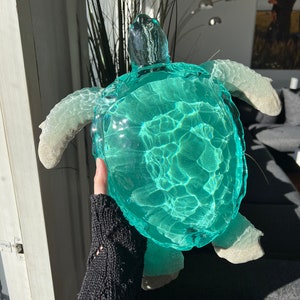 Tortuga GIGANTE de arena del océano