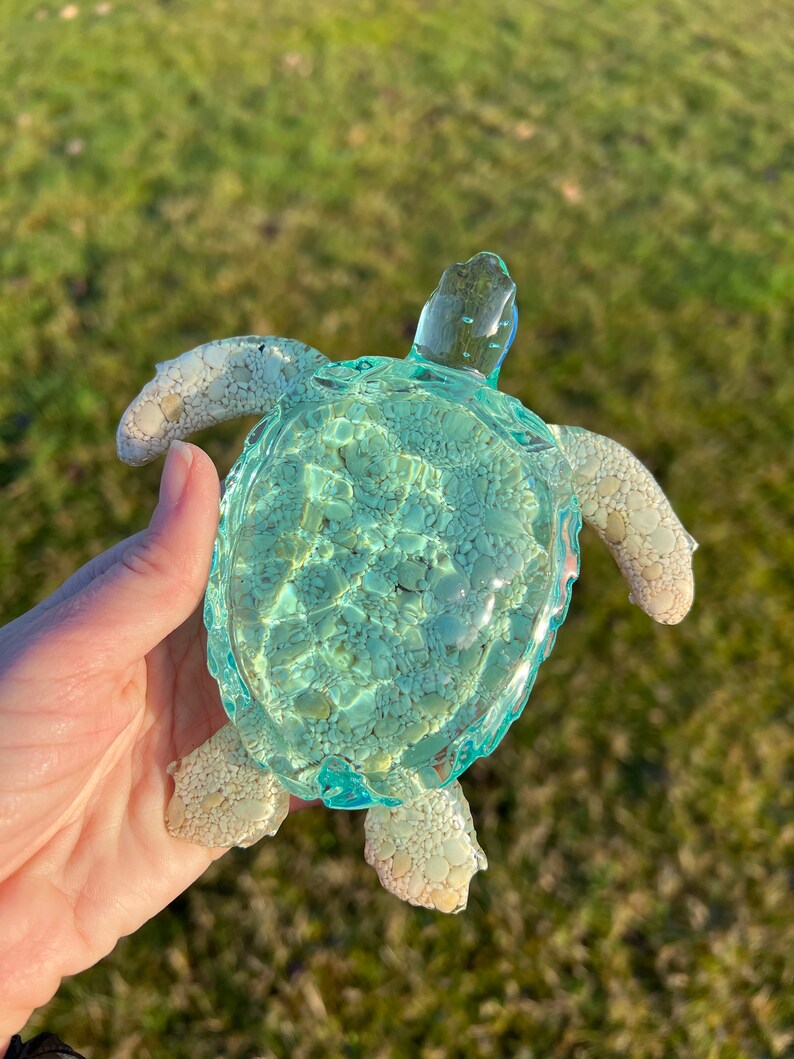 Translucent Coin Turtle Ocean Turtle -X- Large - Etsy