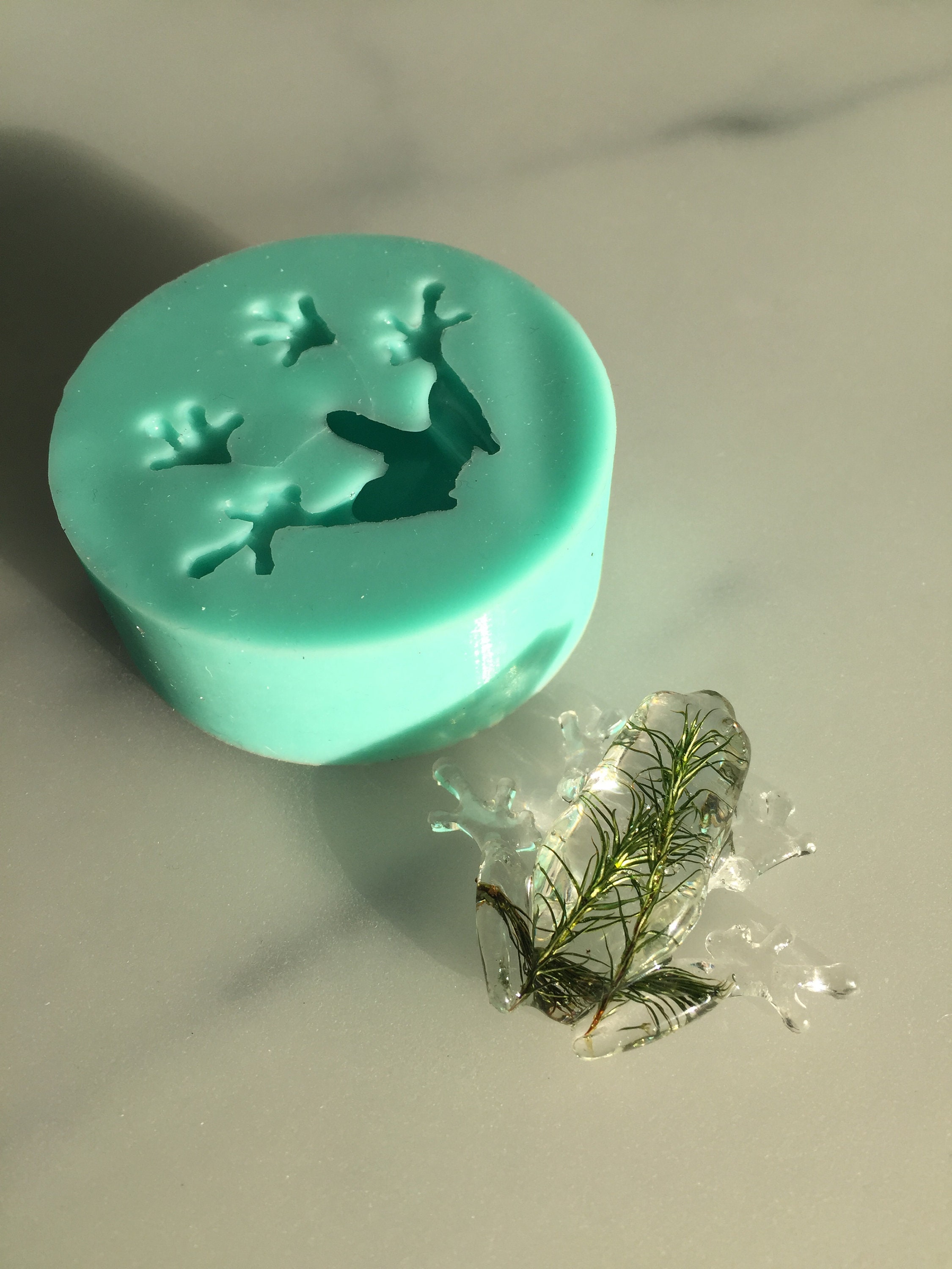 Frog Silicone Mold / Resin Mold Etsy UK
