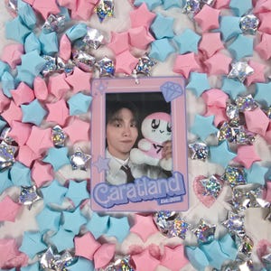 Seventeen Caratland Photocard Holder