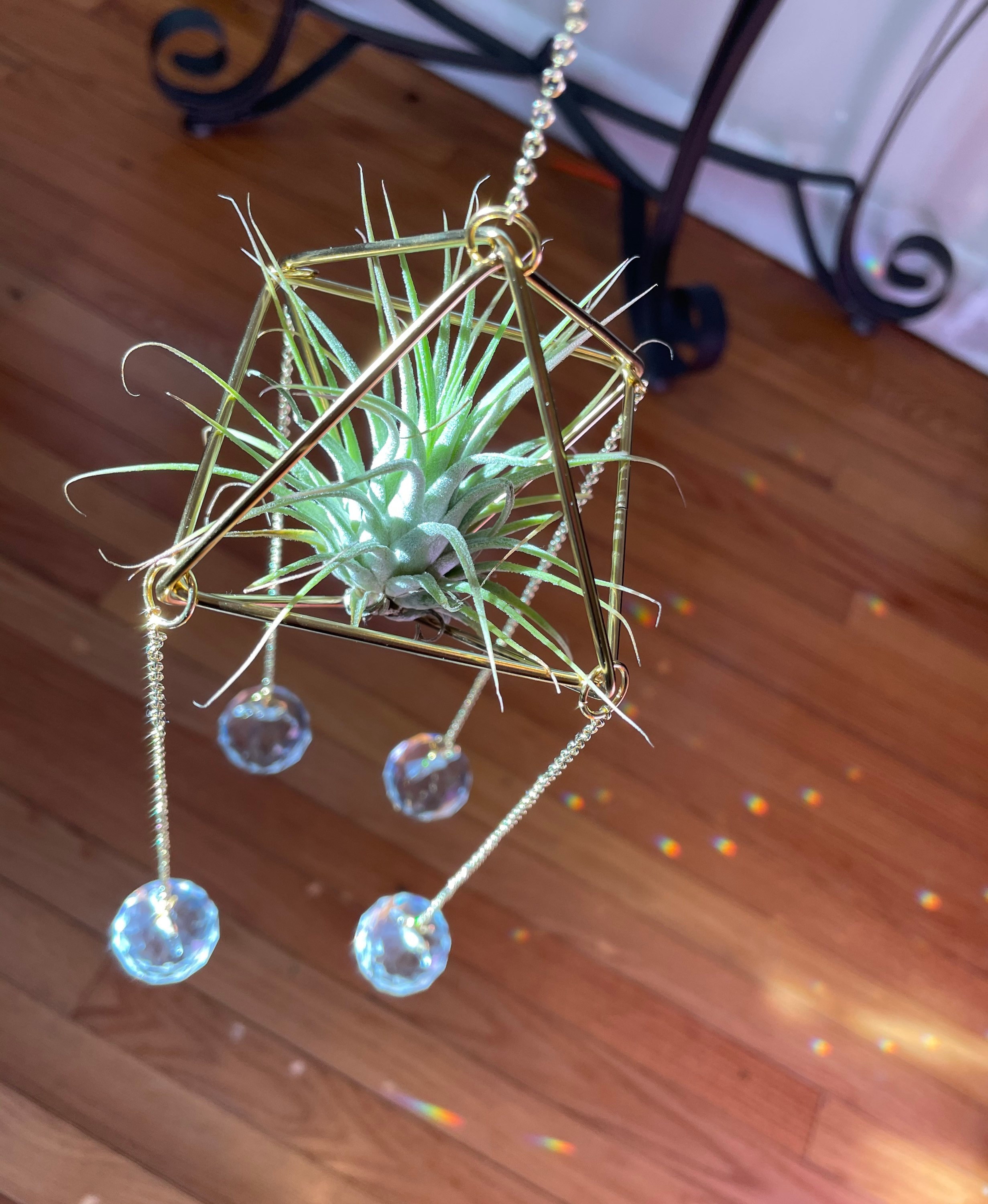 Four prism air plant crystal sun catcher crystal air plant