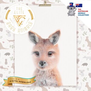 Nursery baby Kangaroo decor DIGITAL, Kangaroo gifts, Australian kangaroos, Kangaroo printable, Aussie animals, Australian Animal wall art.