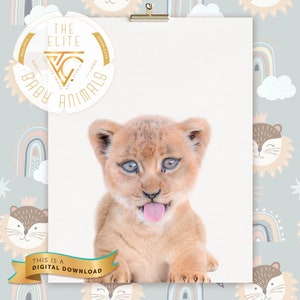 AFDRUKBAAR Baby Lion kwekerij decor | Leeuw png | Katachtige jungle | Lion thema kinderkamer decor | Leeuw voor een kinderkamer | Leeuw kinderkamer foto kunst aan de muur