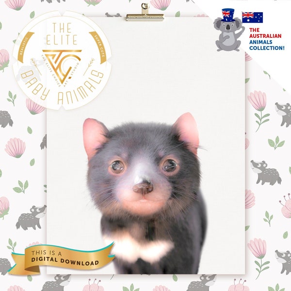 Tazmanian Devil - Etsy