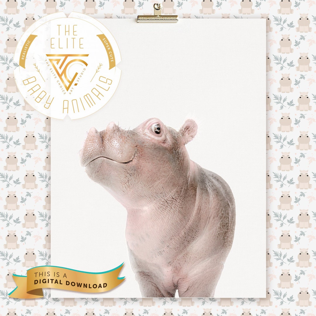 PRINTABLE Nursery Baby Hippo Wall Art Decor for Kids Hippo - Etsy