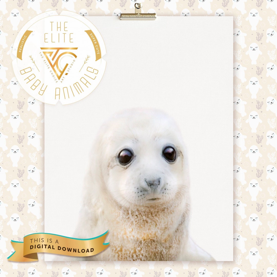 PRINTABLE Seal for Baby Baby Ocean Nursery Seal Animal Lover Sea