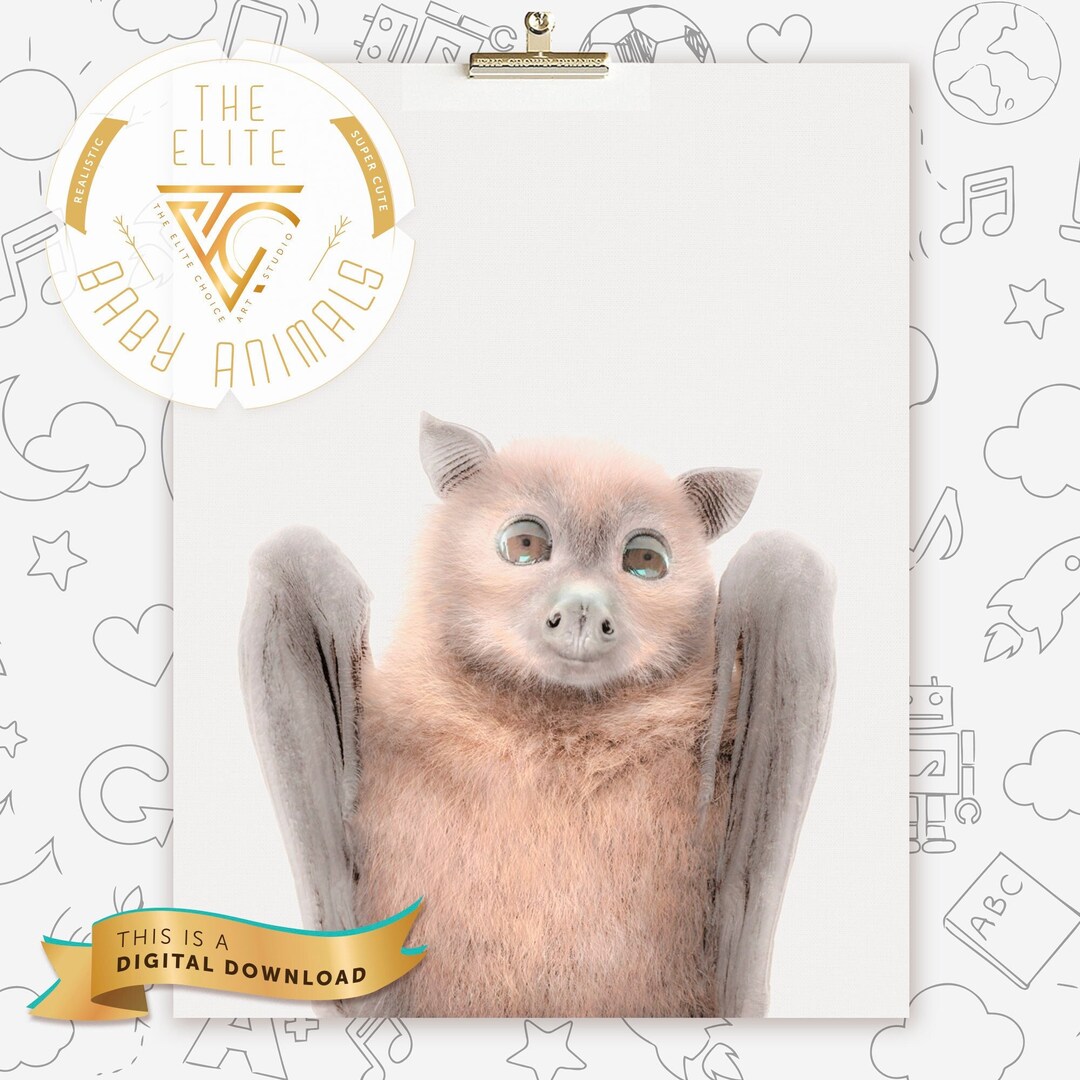 DIGITAL Baby Bat Nursery Bat PRINTABLE Gift Flying Fox Bat Illustration