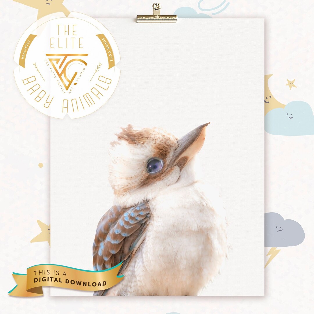 PRINTABLE Baby Kookaburra Wall Art Decor Yarn Art Bird Bird Themed