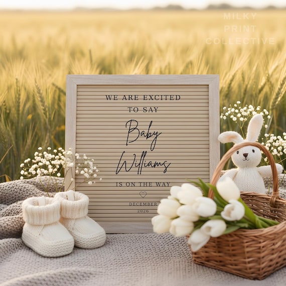 Editable Pregnancy Announcement Template | Canva Pregnancy Announcement | Digital Download Baby Announcement | Social Media Reveal