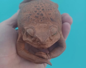 Handmade Sugar Cane Toad, Stuffed - Real Toad Leather