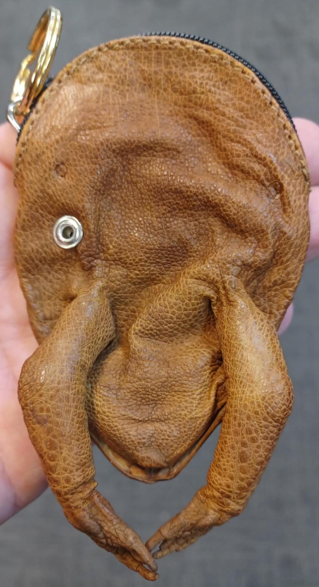 Cane Toad Coin Purse Keychain - Etsy