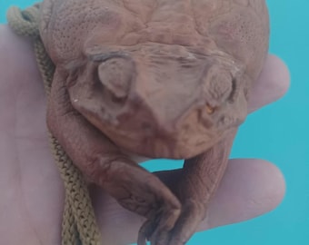 Handmade Sugar Cane Toad Coin Purse Shoulder/Neck Bag - Real Toad Leather