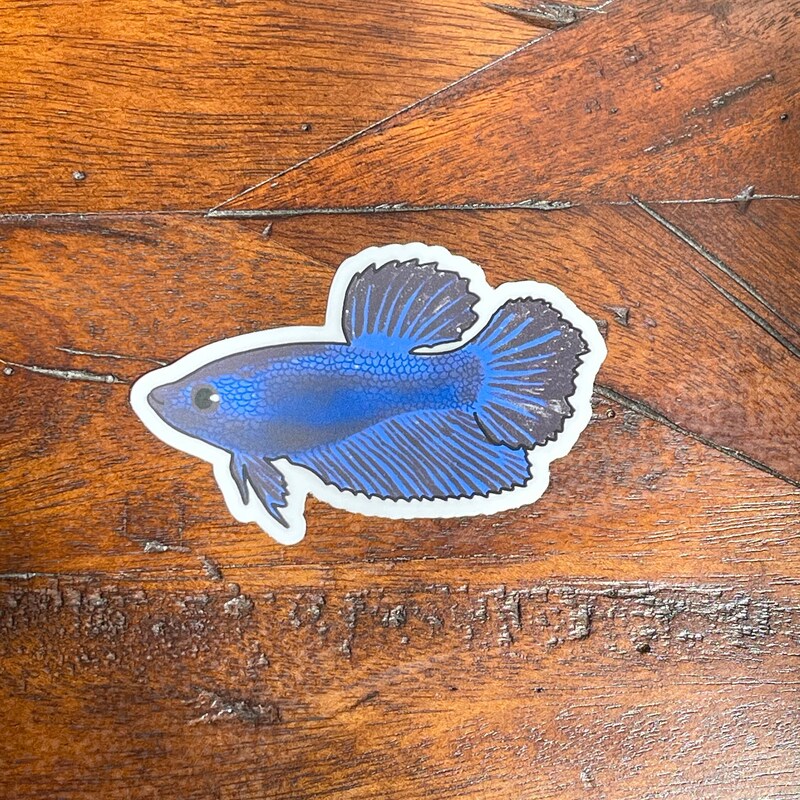 Betta Birthday Card - Etsy
