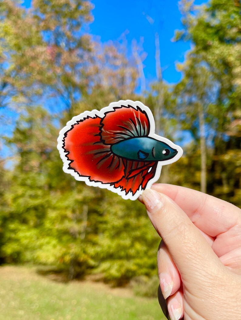 Betta Sticker, Betta Fish Vinyl Sticker, Aquarium Sticker, Waterproof ...