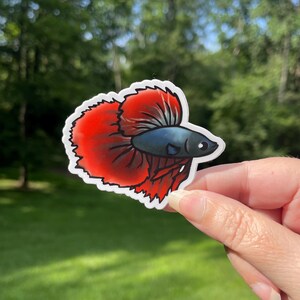 Betta sticker, Betta Fish Vinyl Sticker, Aquarium sticker, Waterproof Betta sticker