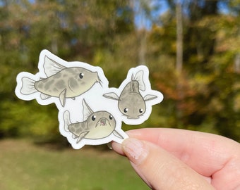 Peppered Cory Catfish Sticker | Corydoras paleatus Vinyl Sticker