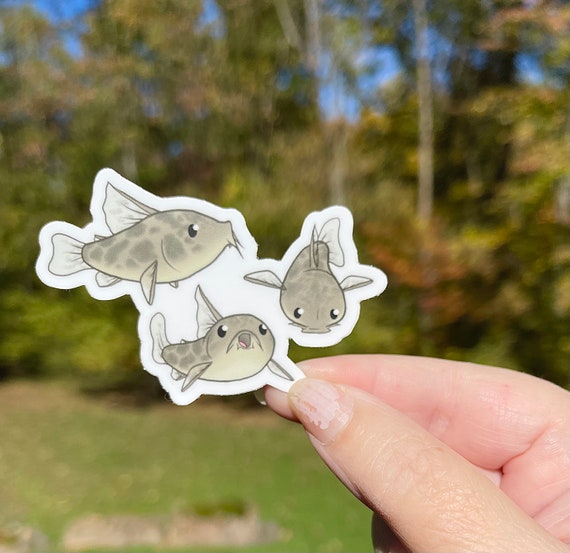 Peppered Cory Catfish Sticker | Corydoras paleatus Vinyl Sticker