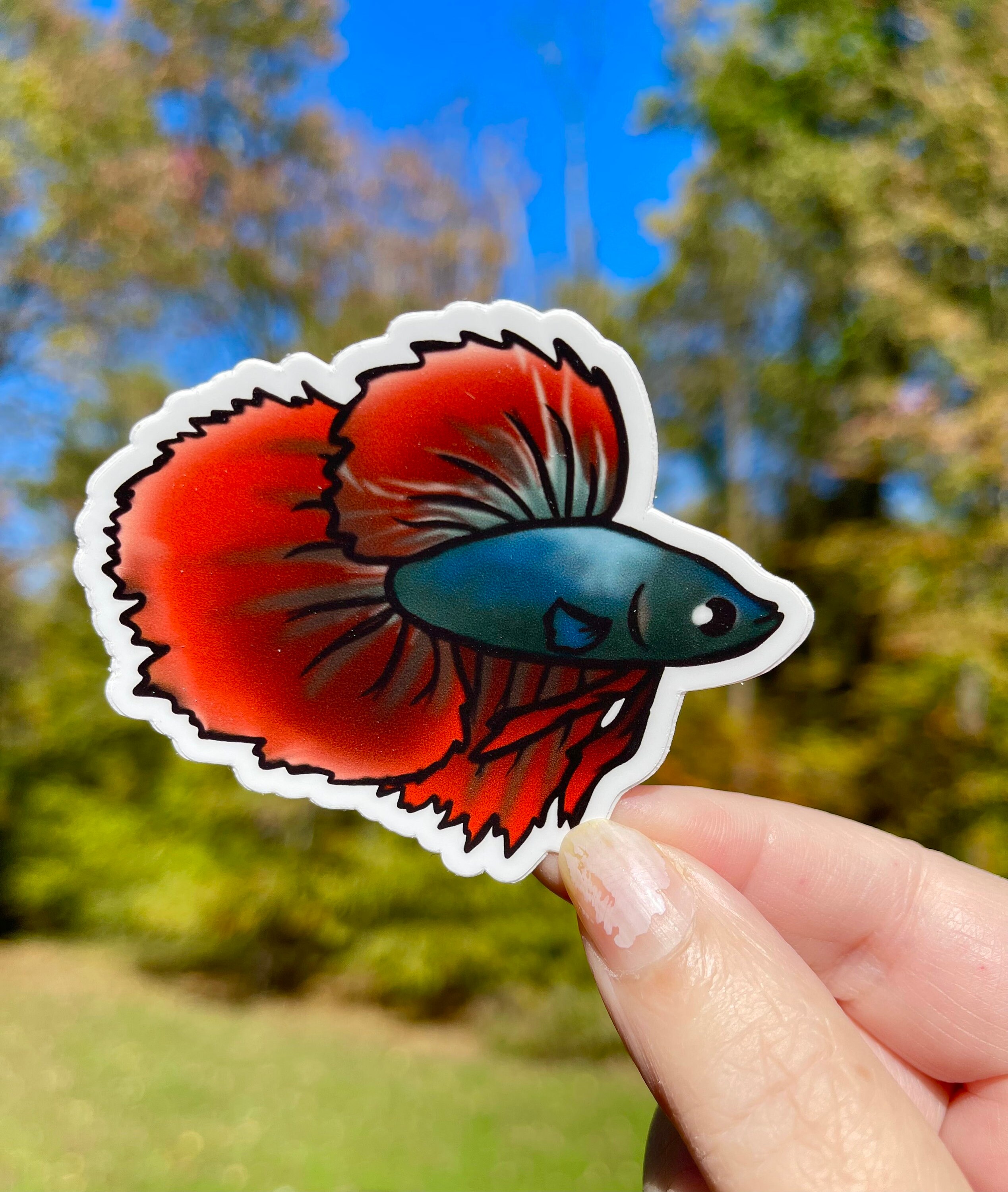 Betta Sticker Betta Fish Vinyl Sticker Aquarium Sticker - Etsy
