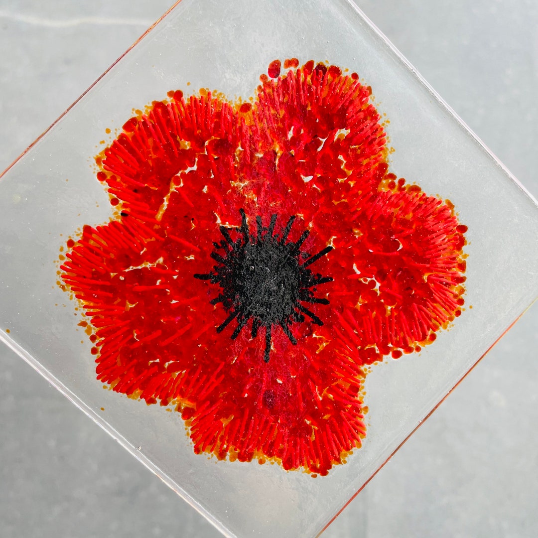 Fused Glass Kit Fused Glass Kit Poppy Glass Art Make at Etsy UK