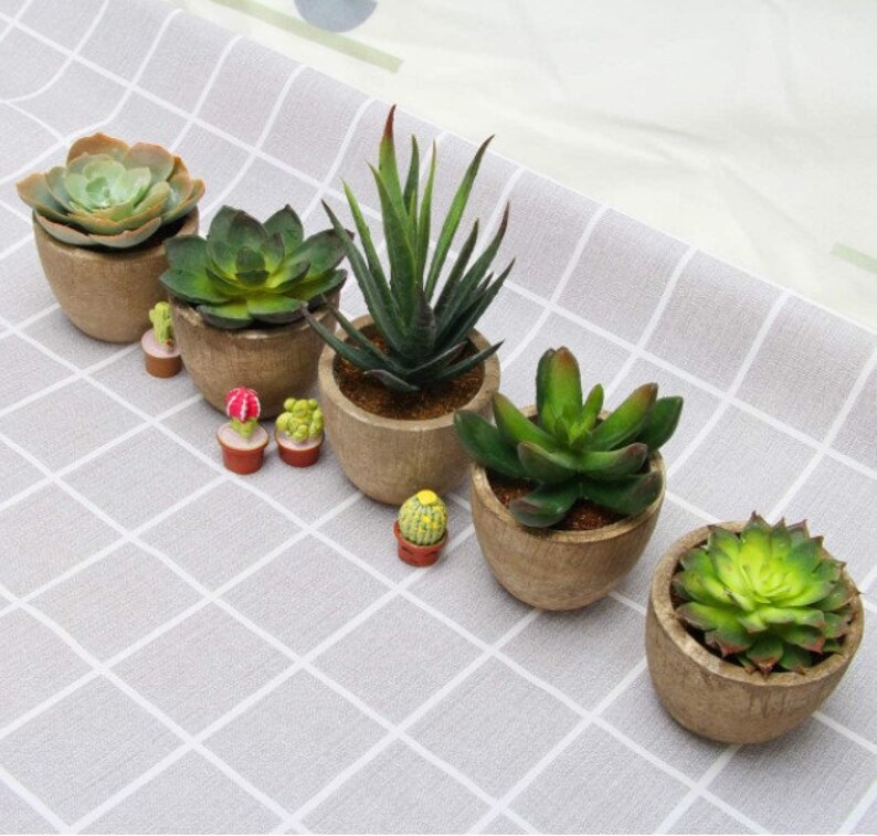 Set of 5 Succulent Potted Fake Cactus Cacti Plants with Pots