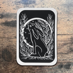 Peut inclure: Illustration en noir et blanc d'un lapin assis devant une pleine lune avec des étoiles. Le lapin regarde la lune. L'illustration est entourée d'une bordure de feuilles.