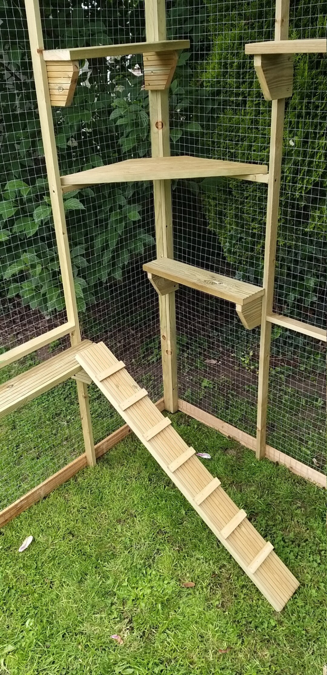 Catio Accessories Shelves timber Brackets Ladders Rope Ladders 