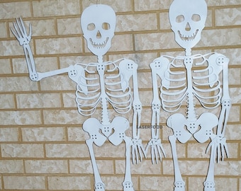Halloween Skeleton File, Laser Cut Human Bones to assemble together - digital files, laser cut with glowforge and other laser cutters