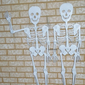 Halloween Skeleton File, Laser Cut Human Bones da assemblare insieme - file digitali, taglio laser con glowforge e altri taglierini laser
