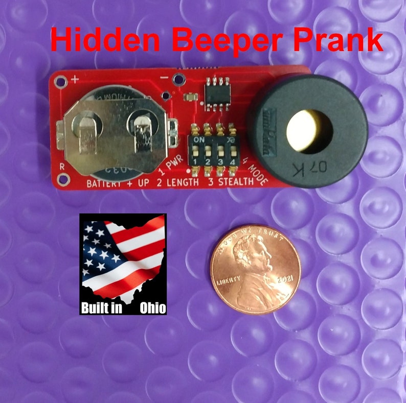 Hidden Beeper or Fake Cricket Prank Etsy