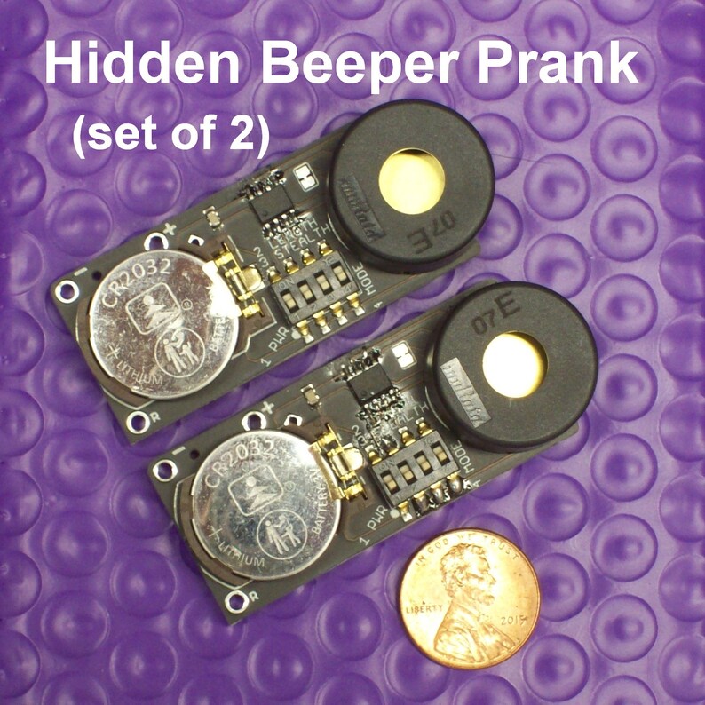 Hidden Beeper or Fake Cricket Prank Etsy